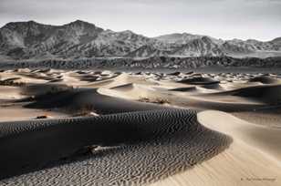 Mesquite Dunes-9866